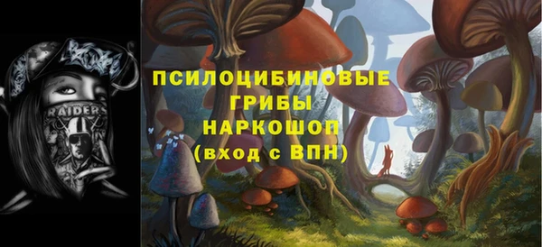 дживик Анива