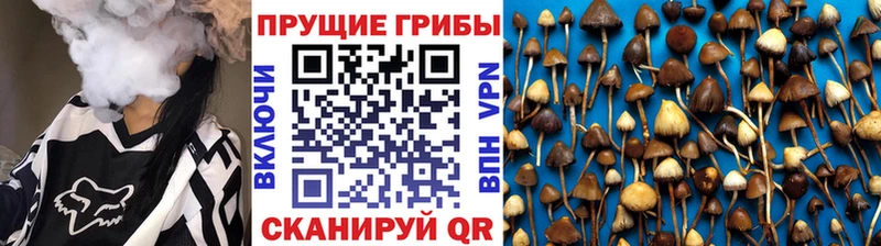 Галлюциногенные грибы Magic Shrooms  Купить где  Кыштым 